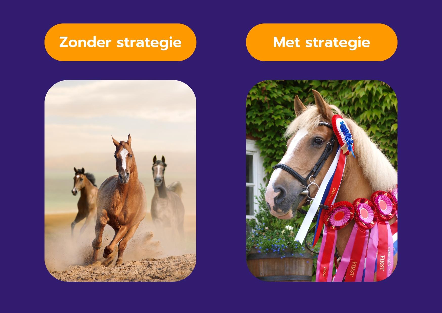 Links zie je de paarden zonder strategie: prachtig, maar doelloos. Rechts zie je het paard met strategie: nog steeds prachtig, en een prijzenpakker.